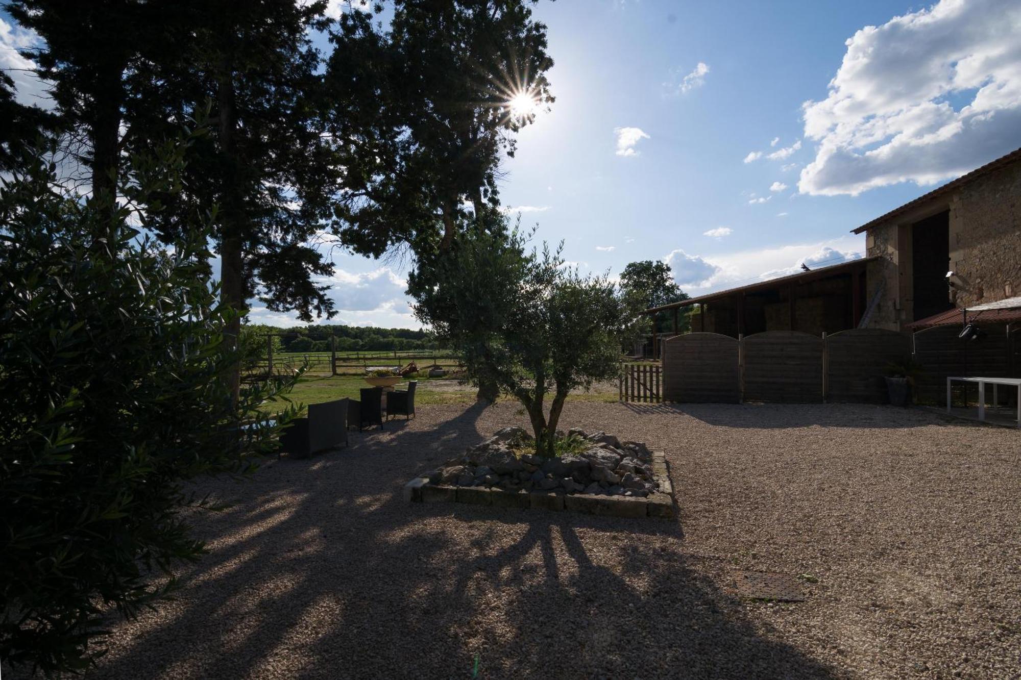 B&B Maison D'Hote Et Gite Mas D'Eymard Arles Pokój zdjęcie